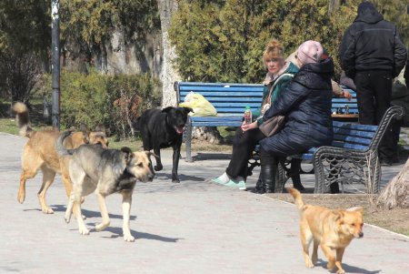 Одесситы проводят воскресенье в Лузановке (фоторепортаж)