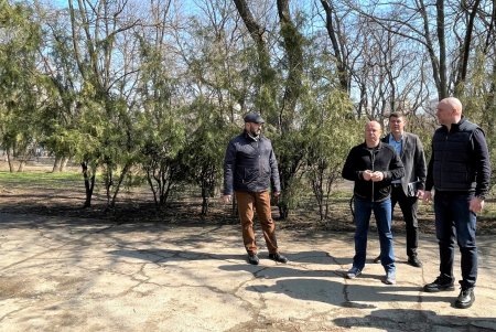В Дюковском парке благоустроят центральную аллею и очистят еще один пруд (фото, видео)
