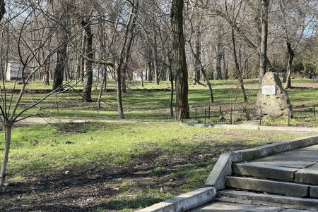 В Дюковском парке благоустроят центральную аллею и очистят еще один пруд (фото, видео)