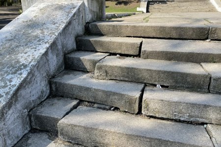 В Дюковском парке благоустроят центральную аллею и очистят еще один пруд (фото, видео)