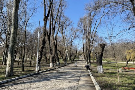 В Дюковском парке благоустроят центральную аллею и очистят еще один пруд (фото, видео)