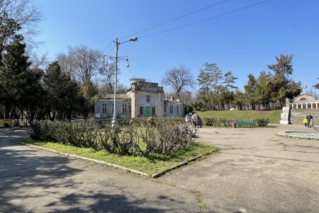 В Дюковском парке благоустроят центральную аллею и очистят еще один пруд (фото, видео)