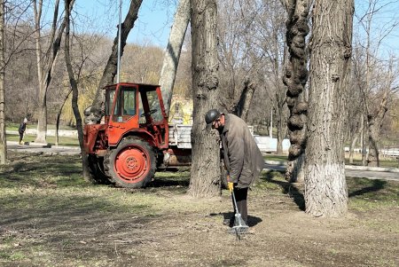 В Дюковском парке благоустроят центральную аллею и очистят еще один пруд (фото, видео)