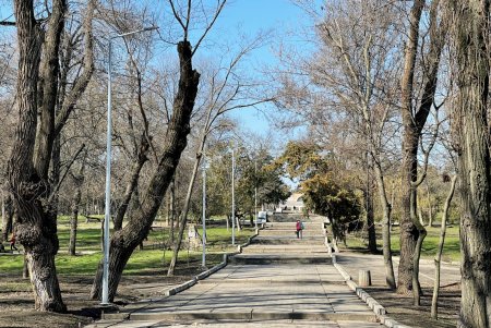 В Дюковском парке благоустроят центральную аллею и очистят еще один пруд (фото, видео)