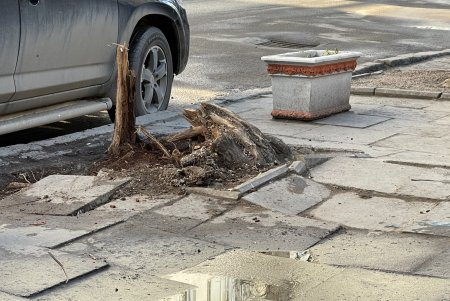 Новые тротуары, экобоксы: к началу курортного сезона коммунальщики приведут в порядок Екатерининскую (фото, видеокомментарий)