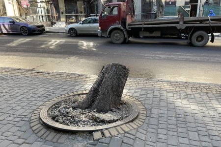 Новые тротуары, экобоксы: к началу курортного сезона коммунальщики приведут в порядок Екатерининскую (фото, видеокомментарий)