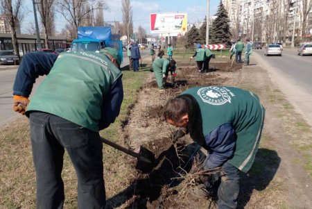 На двух площадях в центре города озеленители уложили рулонные газоны