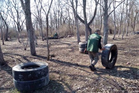 На двух площадях в центре города озеленители уложили рулонные газоны
