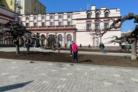 На двух площадях в центре города озеленители уложили рулонные газоны
