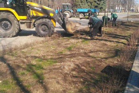 На двух площадях в центре города озеленители уложили рулонные газоны