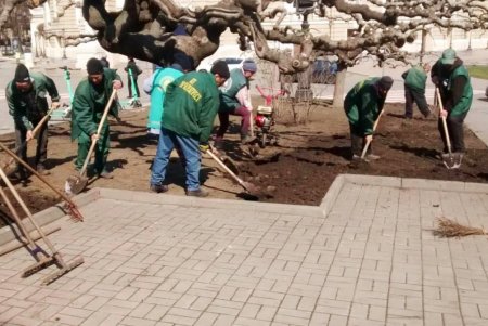 На двух площадях в центре города озеленители уложили рулонные газоны