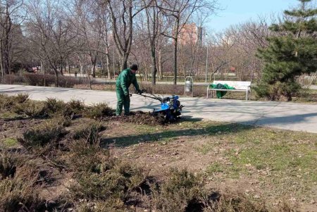 На двух площадях в центре города озеленители уложили рулонные газоны