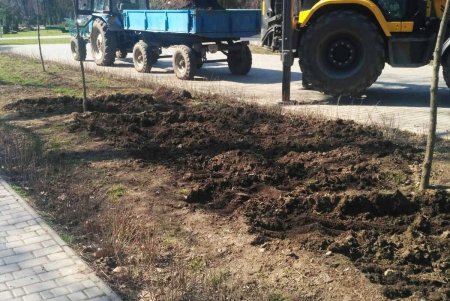 На двух площадях в центре города озеленители уложили рулонные газоны