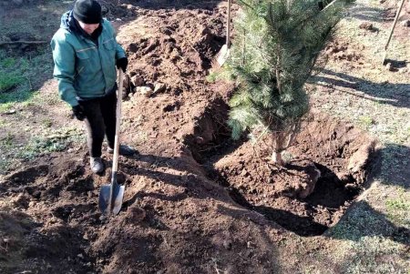 Ко Дню освобождения Одессы в городе состоялся масштабный субботник (фото)
