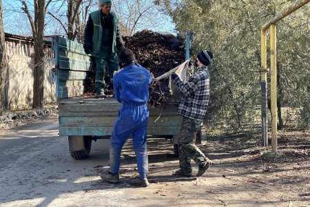 Ко Дню освобождения Одессы в городе состоялся масштабный субботник (фото)