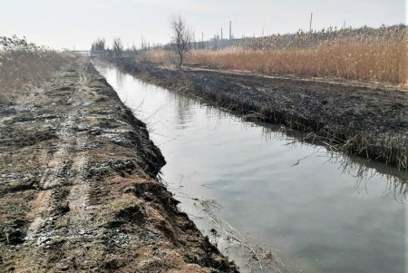 Дорожники расчищают Буферный пруд, Румынский канал и Куяльницкие канавы во избежание подтопления жилых микрорайонов (фото)