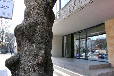 Проспект Шевченко - транспортная артерия Одессы (фоторепортаж)