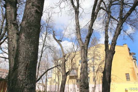 Проспект Шевченко - транспортная артерия Одессы (фоторепортаж)
