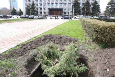 Проспект Шевченко - транспортная артерия Одессы (фоторепортаж)