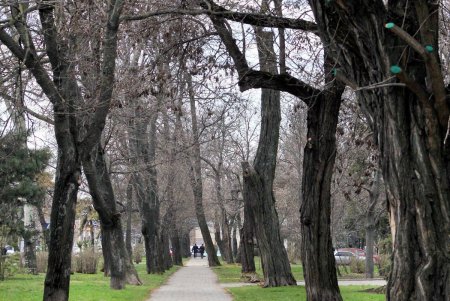 Проспект Шевченко - транспортная артерия Одессы (фоторепортаж)
