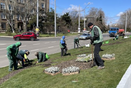 Ко Дню освобождения Одессы коммунальщики приводят в порядок и озеленяют мемориальные комплексы города (фото)