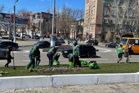 Зеленые зоны города украсят 200 тысяч весенних цветов (фото)
