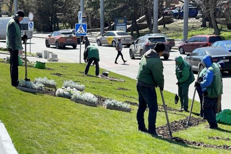 Зеленые зоны города украсят 200 тысяч весенних цветов (фото)