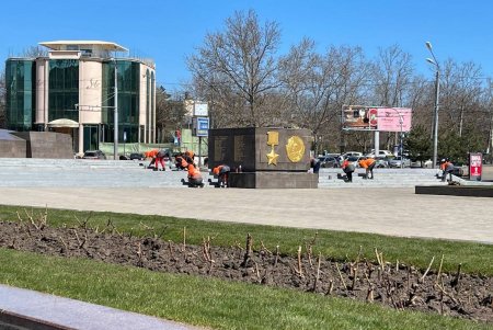 Зеленые зоны города украсят 200 тысяч весенних цветов (фото)