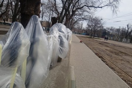 Заменили освещение, смонтировали новые рельсы: капремонт Алексеевского сквера закончат в начале мая (фото)