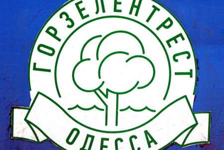 Маргаритки, виолы, незабудки: озеленители высаживают весенние композиции цветов на городских клумбах (фоторепортаж)
