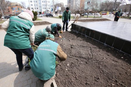 Маргаритки, виолы, незабудки: озеленители высаживают весенние композиции цветов на городских клумбах (фоторепортаж)