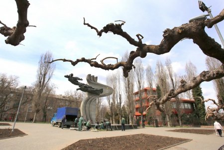 Маргаритки, виолы, незабудки: озеленители высаживают весенние композиции цветов на городских клумбах (фоторепортаж)