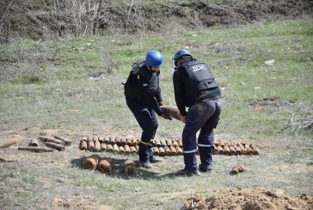 Почти 350 боеприпасов разного калибра времен Второй мировой войны обнаружены в Овидиопольском районе (фото)