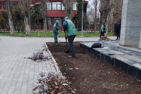 Цветочный узор у «Крыльев Победы» и на Аллее Славы: озеленители высадили в городе около 80 тысяч весенников (фото)