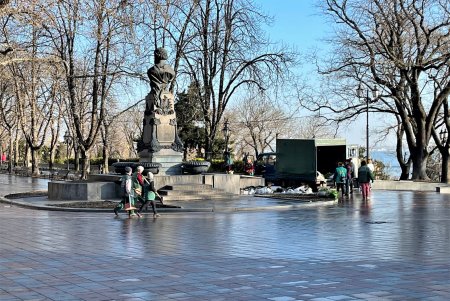Цветочный узор у «Крыльев Победы» и на Аллее Славы: озеленители высадили в городе около 80 тысяч весенников (фото)