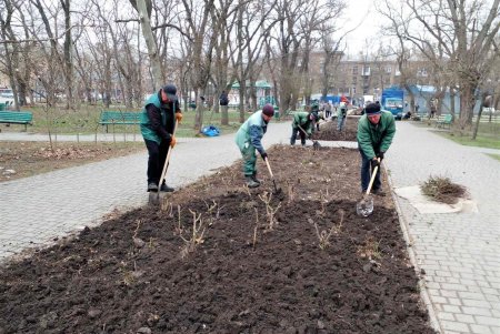 Цветочный узор у «Крыльев Победы» и на Аллее Славы: озеленители высадили в городе около 80 тысяч весенников (фото)