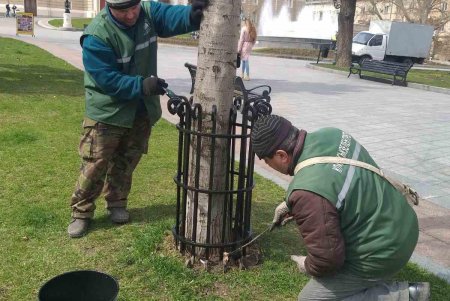 Цветочный узор у «Крыльев Победы» и на Аллее Славы: озеленители высадили в городе около 80 тысяч весенников (фото)
