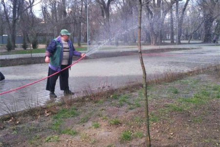 Цветочный узор у «Крыльев Победы» и на Аллее Славы: озеленители высадили в городе около 80 тысяч весенников (фото)