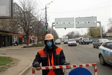 В Киевском районе заменили светильники, обрезали деревья и ветки, мешающие сетям наружного освещения (фото)