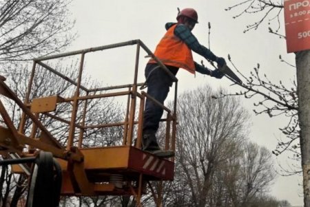 В Киевском районе заменили светильники, обрезали деревья и ветки, мешающие сетям наружного освещения (фото)