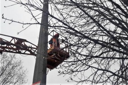 В Киевском районе заменили светильники, обрезали деревья и ветки, мешающие сетям наружного освещения (фото)