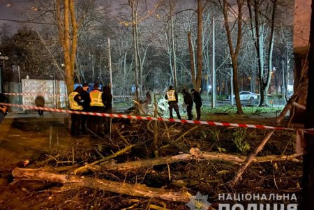 Водитель иномарки влетел в дерево на Люстдорфской дороге: один человек погиб, четверо – получили травмы (фото)
