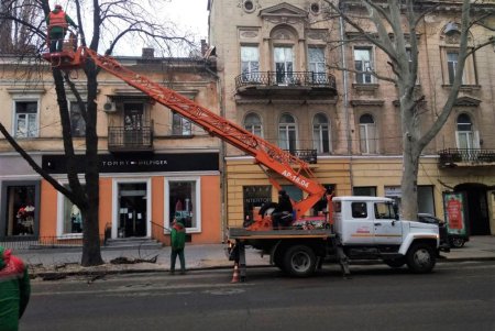Из-за обрезки деревьев затруднен проезд на участке между улицами Ланжероновской и Греческой (фото)