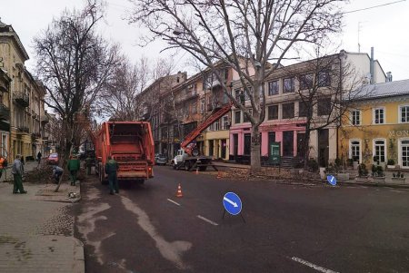 Из-за обрезки деревьев затруднен проезд на участке между улицами Ланжероновской и Греческой (фото)