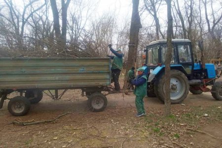 Убирают газоны, моют тротуары, красят садовую мебель и высаживают цветы: коммунальщики благоустраивают и озеленяют Одессу (фото)