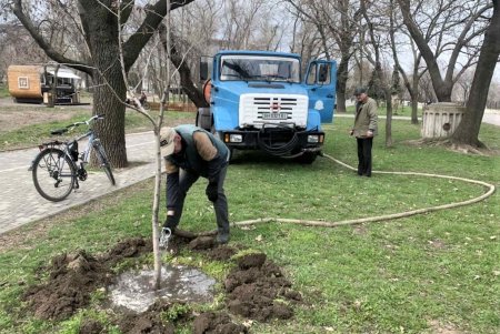 Убирают газоны, моют тротуары, красят садовую мебель и высаживают цветы: коммунальщики благоустраивают и озеленяют Одессу (фото)