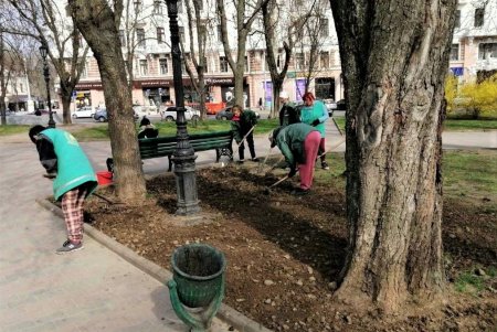 Убирают газоны, моют тротуары, красят садовую мебель и высаживают цветы: коммунальщики благоустраивают и озеленяют Одессу (фото)