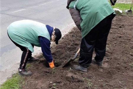 Убирают газоны, моют тротуары, красят садовую мебель и высаживают цветы: коммунальщики благоустраивают и озеленяют Одессу (фото)