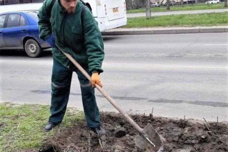 Убирают газоны, моют тротуары, красят садовую мебель и высаживают цветы: коммунальщики благоустраивают и озеленяют Одессу (фото)