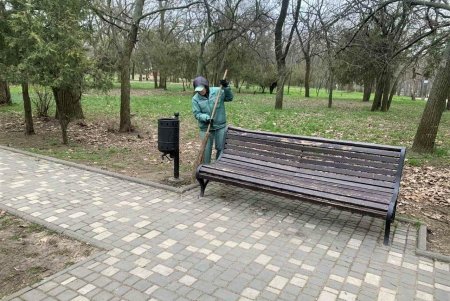 Убирают газоны, моют тротуары, красят садовую мебель и высаживают цветы: коммунальщики благоустраивают и озеленяют Одессу (фото)